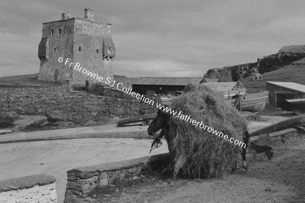 CASTLE, PONY AND HAY